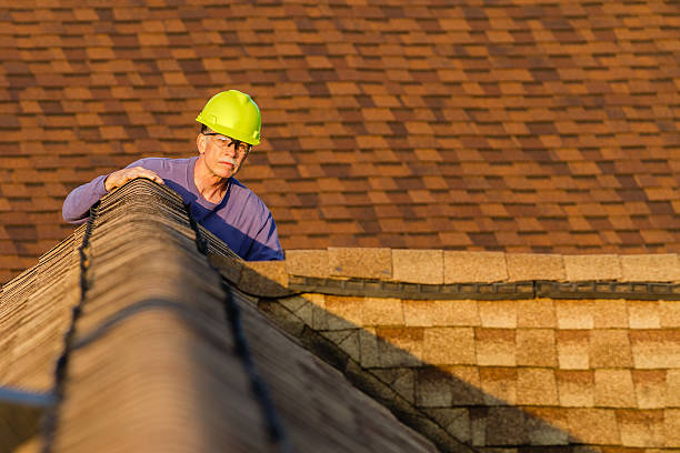 Professional Roofing Contractor in Milliken, CO